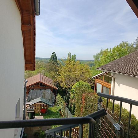 Au Fil Du Bonheur Studio Surbourg Zewnętrze zdjęcie