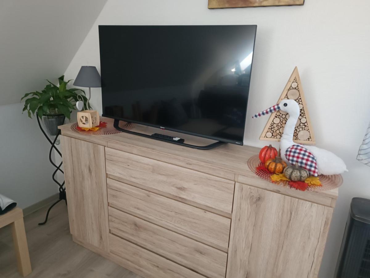 Au Fil Du Bonheur Studio Surbourg Zewnętrze zdjęcie